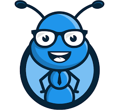 Ameise – blaudirekt